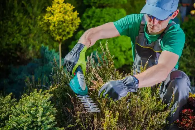landscaping services Sylvania